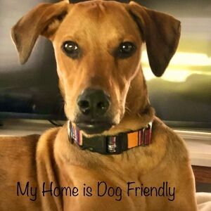 My Home is Dog Friendly♥️🐾